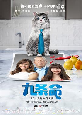 大佬的365天第四季完整在线观看